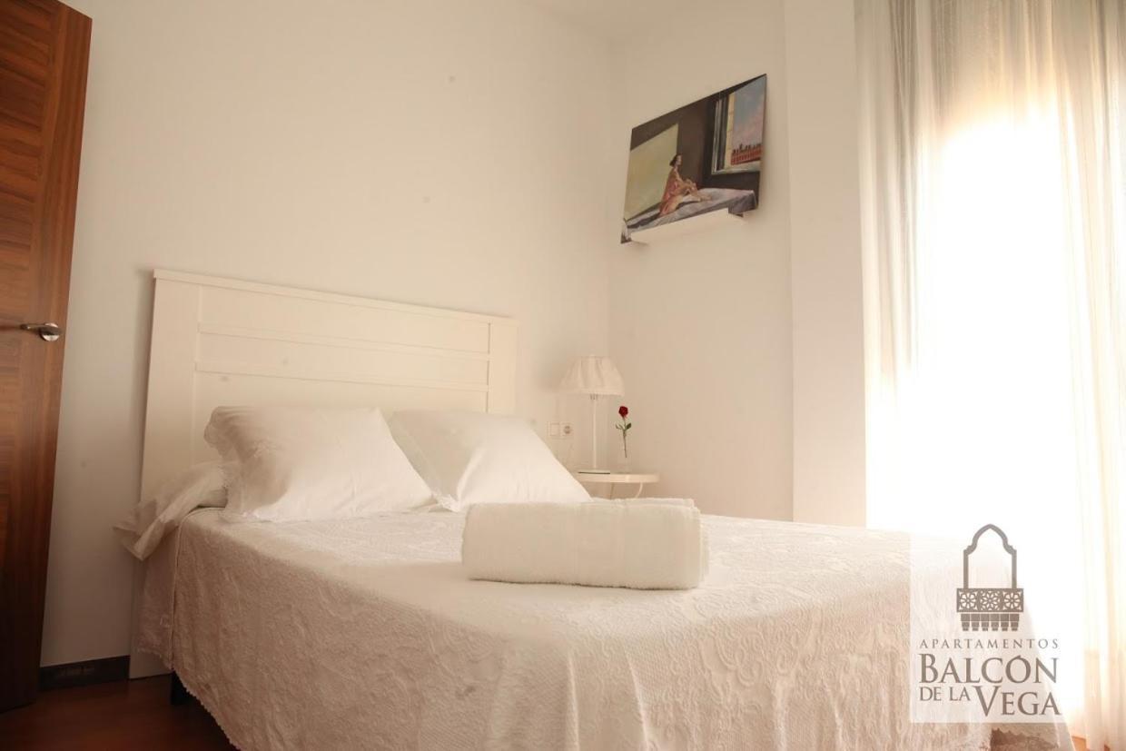 Apartamentos Balcon De La Vega Almodóvar del Río Exteriör bild