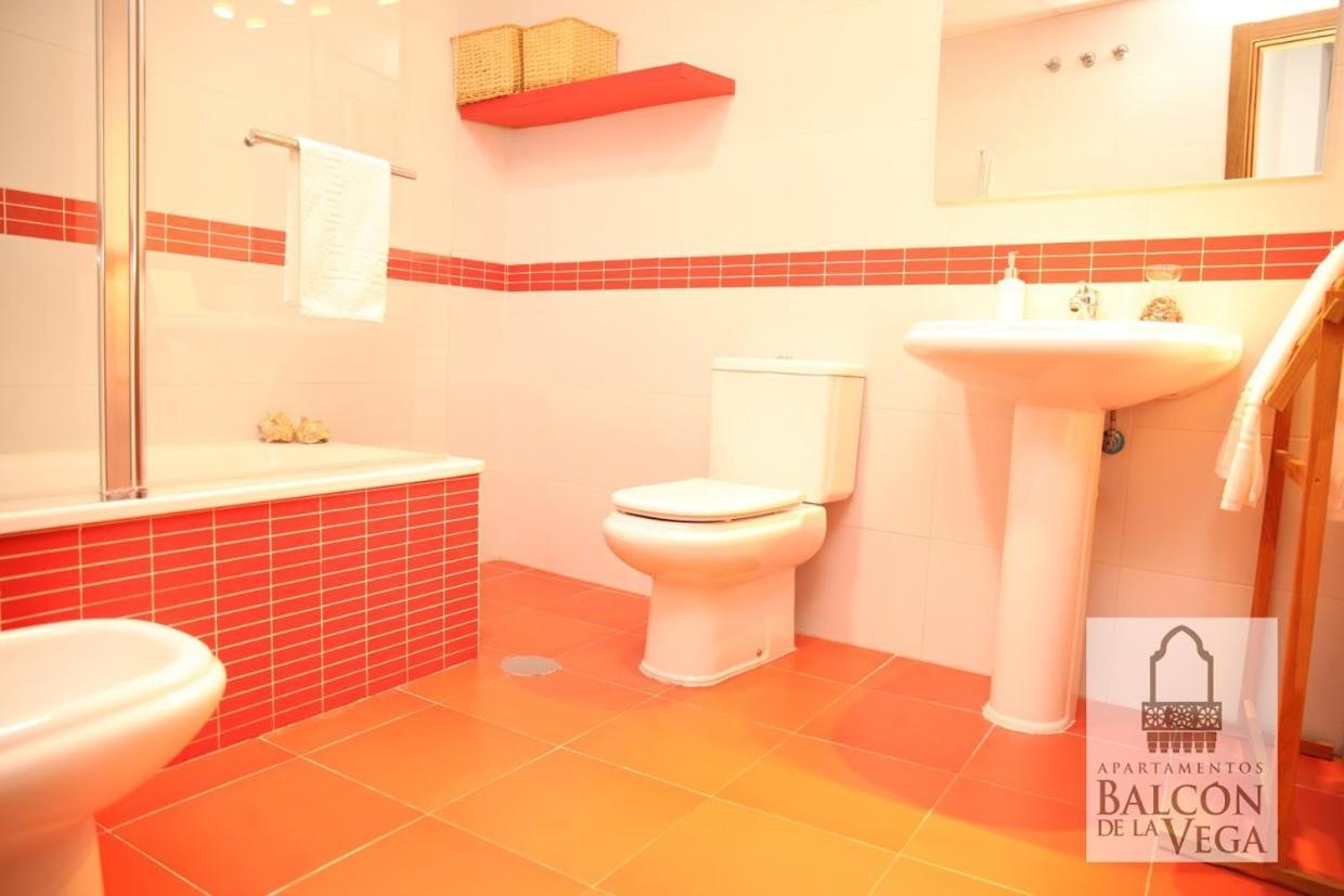 Apartamentos Balcon De La Vega Almodóvar del Río Exteriör bild